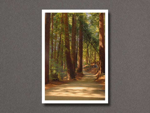 Walking with Giants - Setanta Books