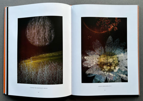 We May As Well Dance - Setanta Books