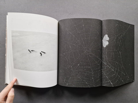 What the Rain Might Bring - Setanta Books