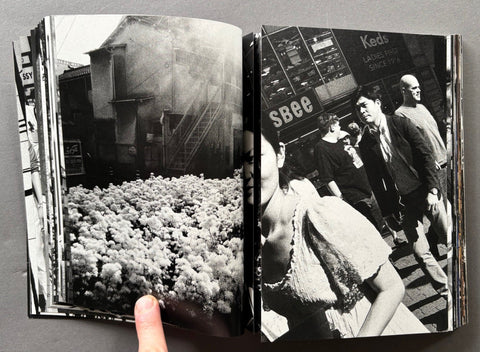 White Noise - Setanta Books