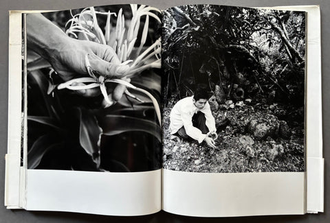 White Room - Setanta Books