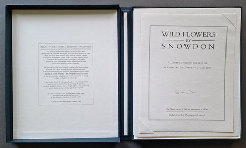 Wild Flowers - Setanta Books