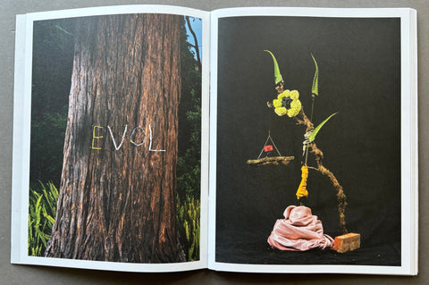 An open art book or magazine spread, showing two illustrated pages side by side. The left page features a close-up photograph of a large tree trunk with the word 'EVOL' written across it in white.