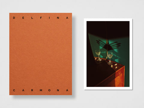 The "A Little Goodbye" Print and cover of 013 - Delfina Carmona. In softcover orange. Part of the Bi-Monthly Collection by Setanta Books.