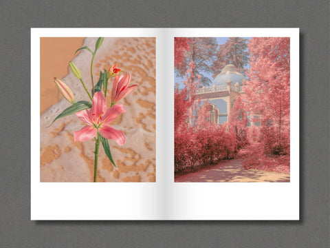 014 - Teresa Freitas - Special Edition (3 Print Options) - Setanta Books