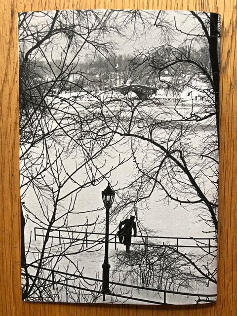 Walking New York 1961-1981