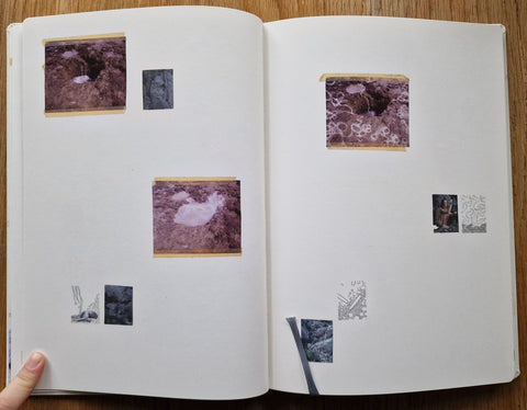 Sleeping State of Being – Creatures of Night and Day