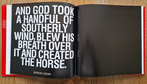 Ezekiel's Horse