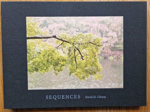 Images, Panoramas, Sequences