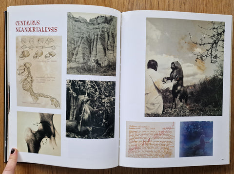 El libro de las maravillas