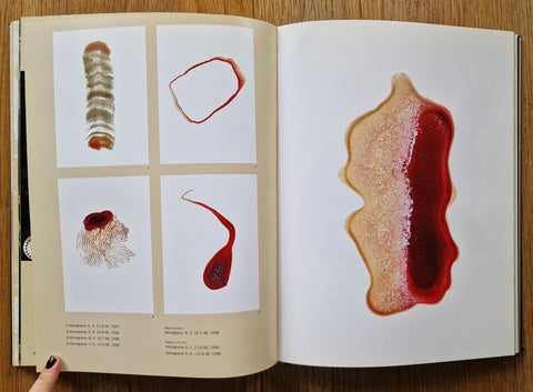 El libro de las maravillas