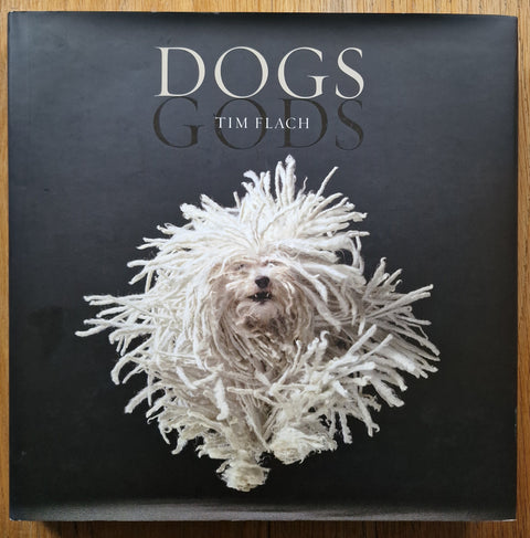 Dogs / Gods