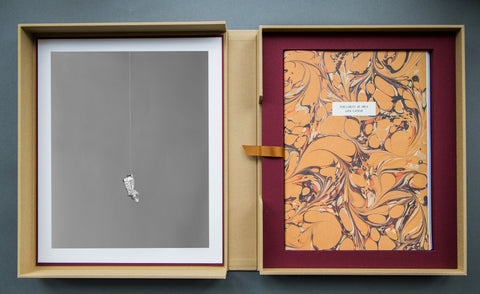 Parliament of Owls Portfolio Box