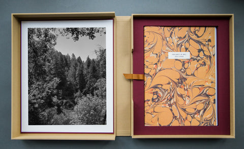 Parliament of Owls Portfolio Box