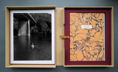 Parliament of Owls Portfolio Box