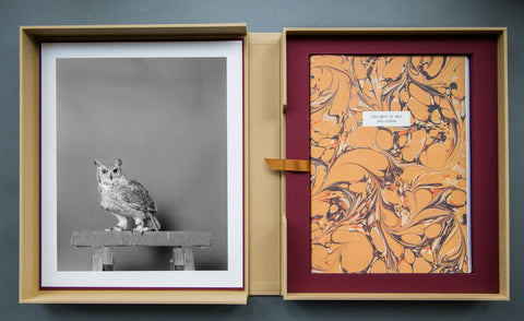 Parliament of Owls Portfolio Box