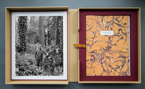 Parliament of Owls Portfolio Box