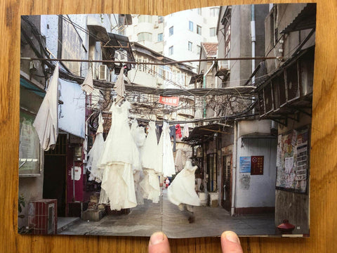 Wuhan Diary