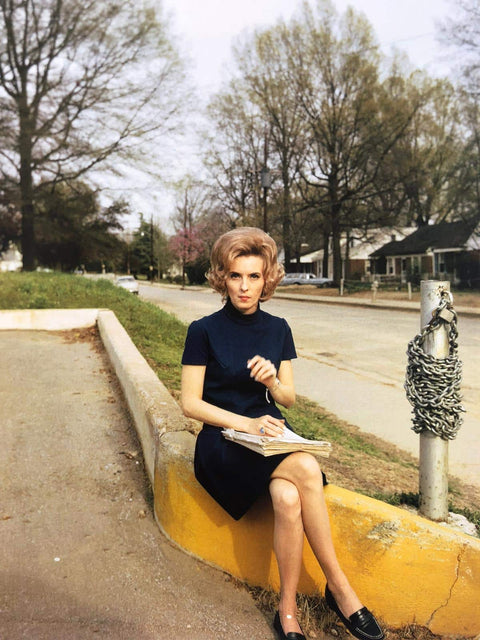 William Eggleston's Guide