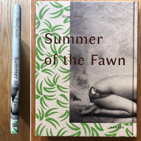 Summer of the Fawn