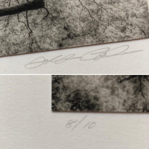 Reverence (Special Edition) with Print 2
