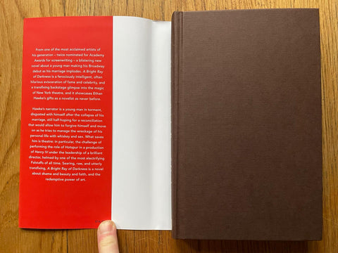 A Bright Ray of Darkness