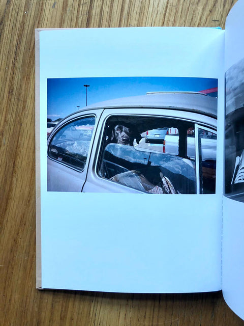 Auto-Hypnosis (One Picture Book)