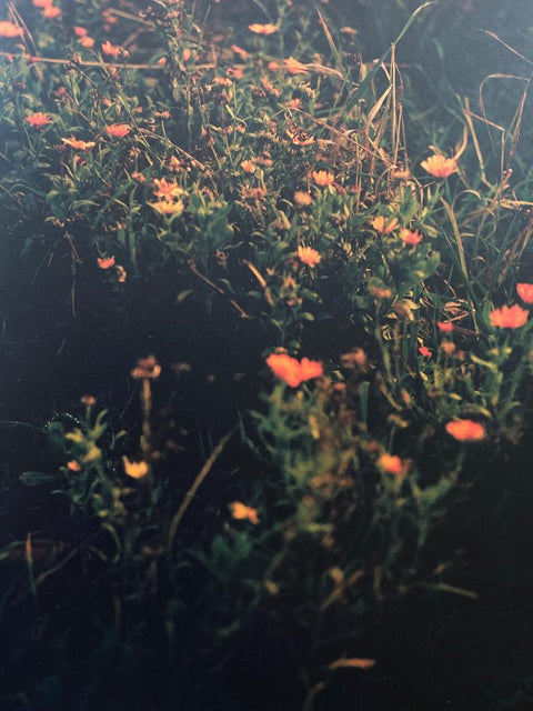 Growing Spaces