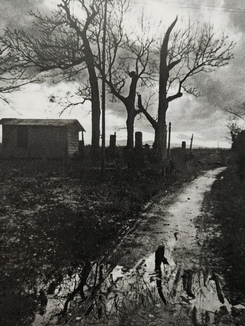 Tsugaru - Poetry, Writings, Photography