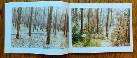 Irene im Wald