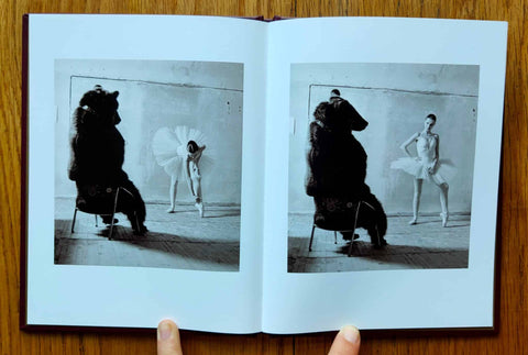Taste for Russian Ballet (One Picture Book)