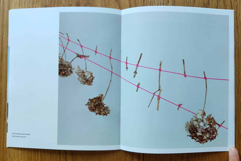 Field Notes 06: FarmerFlorist