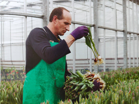 Field Notes 06: FarmerFlorist