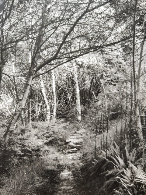 Tanera (Ar Duthaich)