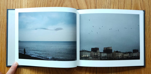 Murmuration