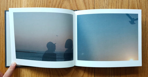 Murmuration