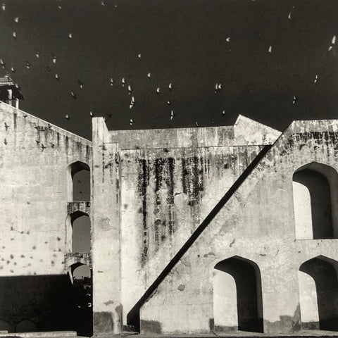 Des Oiseaux