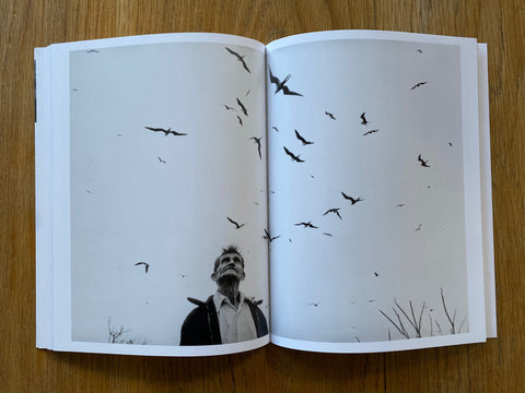 Graciela Iturbide on Dreams, Symbols, and Imagination