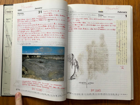 Diary Life 1982- 1995