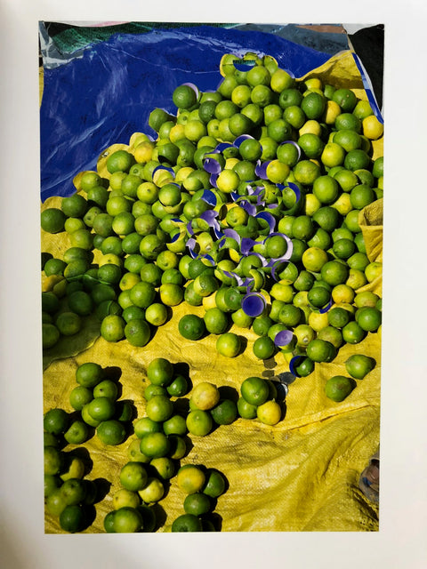 Heliotrope