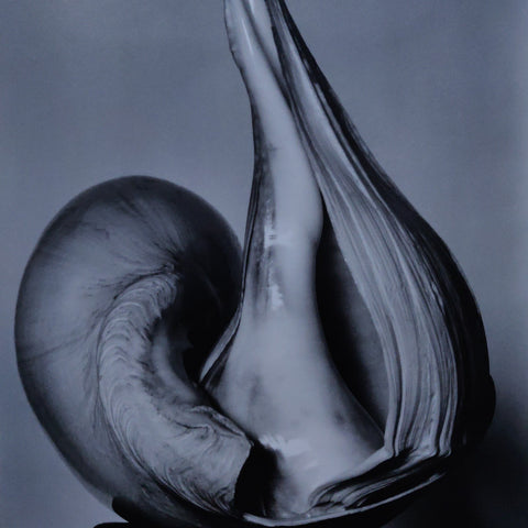 Edward Weston Harry Callahan