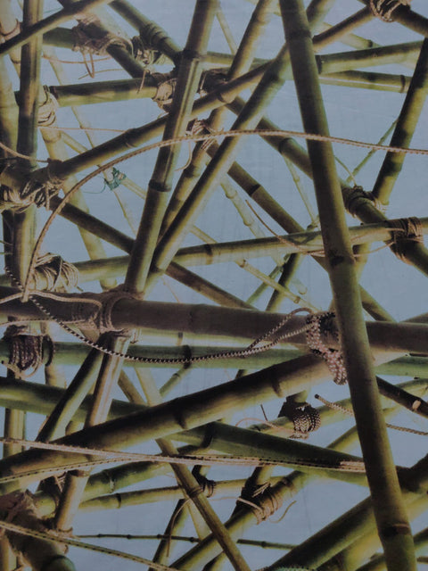 This Thing Called Life