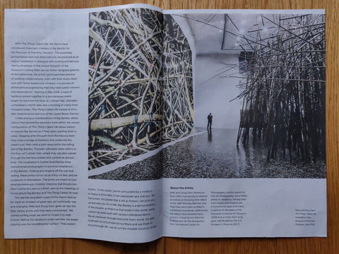 This Thing Called Life