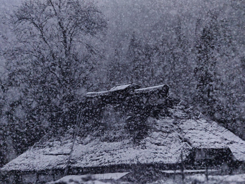 Photographs 1958-2008
