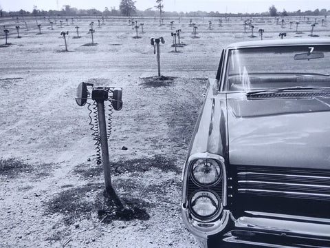 The New Cars 1964