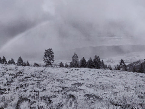 Pine Valley