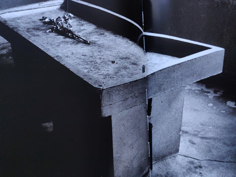 Beyond The Shadows: The Holocaust and the Danish Exception