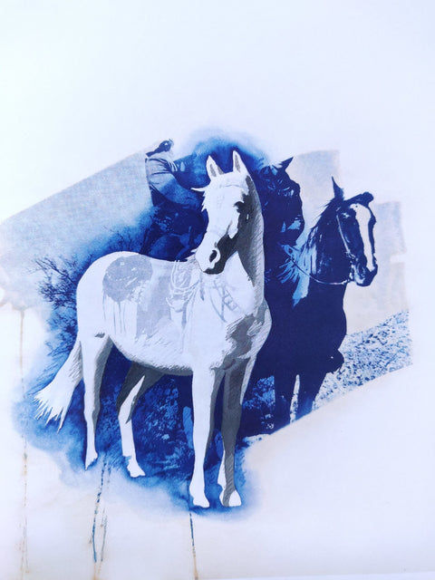Lone Ranger (One Picture Book)