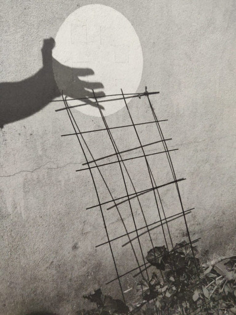 Photographs (2nd Printing)