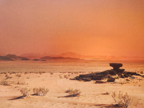 Terra Nullius